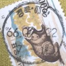 강동로6-2 이미지