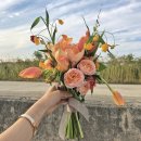 네오캣스튜디오 | 2020년 6월 일상