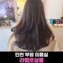 라벨르살롱(La belle salon)