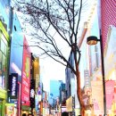 명동 이미지