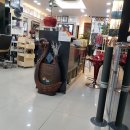 쎄씨클럽 이미지