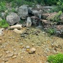 진미펜션 이미지