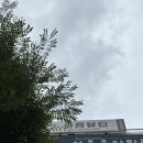 와썹뷰티눈썹앤속눈썹펌 | 속눈썹펌 와썹뷰티 눈썹앤속눈썹펌 본점