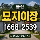 현장묘개발 | 묘지이장｜성안동 산소 파묘, 울산하늘공원 화장 후 경주 선산 산분장까지, 현장 후기 및 필수 절차 안내