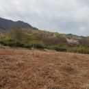 달빛마을 이미지