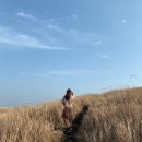 풍림식물원