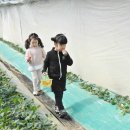 옥산2농장 이미지