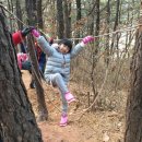 구립은행나무어린이집 이미지