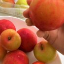 대석농장 이미지