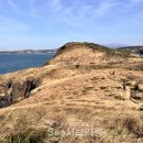 차귀도 시사브리핑