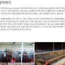 디코드커피 이미지