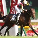 통산2목장 이미지