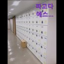 파고다에스씨에스