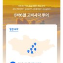 240628-0706 몽골 고비사막 5박6일 (feat. 트립소다)