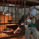 김성호농장 이미지