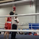 세인트복싱 이미지