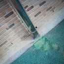 시립영천어린이집 이미지