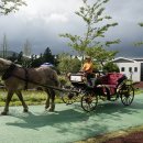 셰프라인 월드 이미지