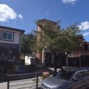 단월식당 이미지