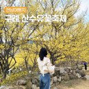 2024 구례산수유축제 기간 주차장 기본정보 봄꽃축제