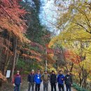 너릿재식당 이미지