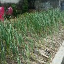 남중동-65 이미지