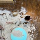 아람누리 | 이영란의 감성놀이 &lt;가루야 가루야&gt; 고양아람누리 방문 후기