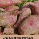 영주농부들 | 40년 농부의 영주 꿀찬고구마 체험단 모집실속 구성 5kg｜해피빈 펀딩 참여