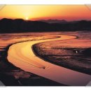 순천만 갈대밭 이미지