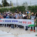 상예동-13 이미지