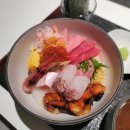 오복수산가로수길점 | 신사역 맛집 내돈내산 :: 도산대로 위의 미식 특별한 오복수산 가로수길점 카이센동 후기