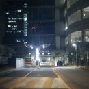 도리앤펫 이미지