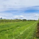 제일농장1 이미지