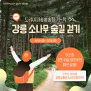 &#34;강릉 아리바우길 걷기 여행으로 산불 피해지역 관광 활성화&#34; 이미지