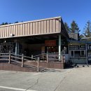 경사목장 | 강원도 평창 가볼만한곳 대관령 양떼목장 12월 방문 후기