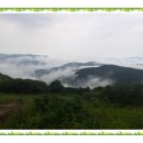 6월 29일 토요일- 육백마지기 풍경- 이미지