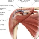 JP PT Studio 이미지