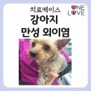 성신동물병원 이미지