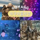 우림목장 | 경기도 주말 나들이 일산 아이와 가볼만한곳 한화 아쿠아플라넷 일산 주차 할인