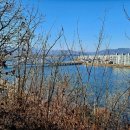 전계심의 묘비 이미지