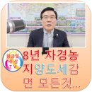 황금빛부동산중개사무소 이미지