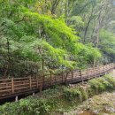 초가정담 이미지