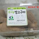 초록유 이미지
