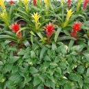 이재두 행정사 이미지