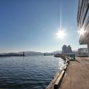 오동동192 이미지