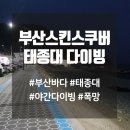 태종대스쿠버 | 부산 스쿠버다이빙 태종대 다이빙 : 멘탈 탈탈 털리고 울고 온 후기