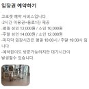 고로캣 고양이카페 | 채광 좋은 하남 미사고양이카페 고로캣 실내 힐링 데이트
