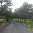 덕산도립공원 수덕사 주차장 이미지