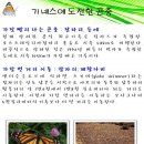 부평숲인천나비공원 이미지