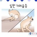 분당24시동물의료센터 이미지